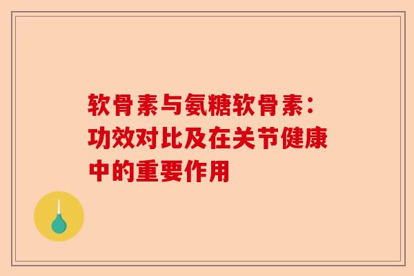 软骨素与氨糖软骨素：功效对比及在关节健康中的重要作用