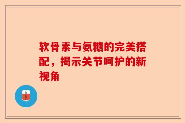 软骨素与氨糖的完美搭配，揭示关节呵护的新视角