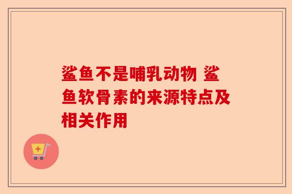 鲨鱼不是哺乳动物 鲨鱼软骨素的来源特点及相关作用