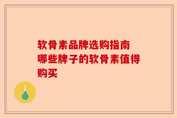 软骨素品牌选购指南 哪些牌子的软骨素值得购买
