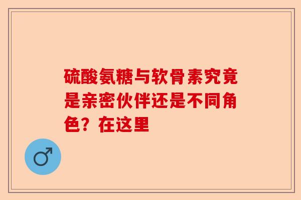 硫酸氨糖与软骨素究竟是亲密伙伴还是不同角色？在这里