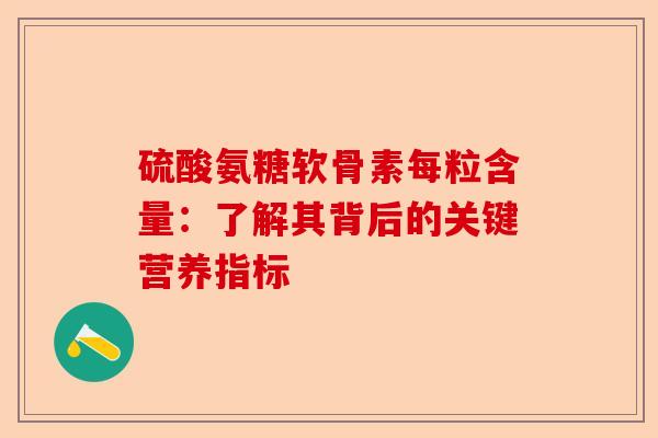 硫酸氨糖软骨素每粒含量：了解其背后的关键营养指标
