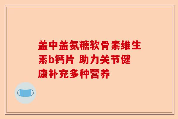 盖中盖氨糖软骨素维生素b钙片 助力关节健康补充多种营养