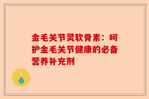金毛关节灵软骨素：呵护金毛关节健康的必备营养补充剂