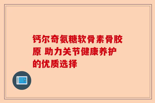 钙尔奇氨糖软骨素骨胶原 助力关节健康养护的优质选择