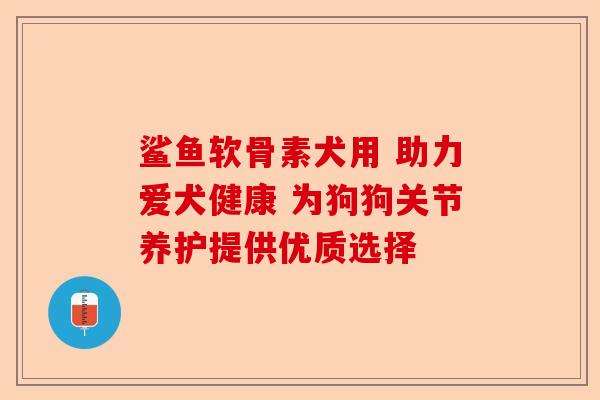 鲨鱼软骨素犬用 助力爱犬健康 为狗狗关节养护提供优质选择