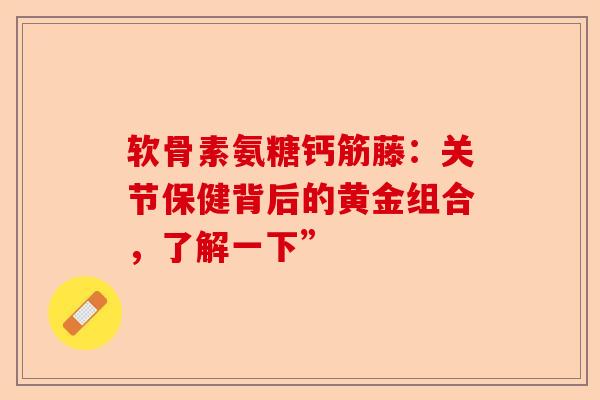 软骨素氨糖钙筋藤：关节保健背后的黄金组合，了解一下”