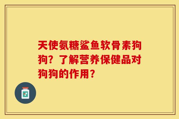 天使氨糖鲨鱼软骨素狗狗？了解营养保健品对狗狗的作用？