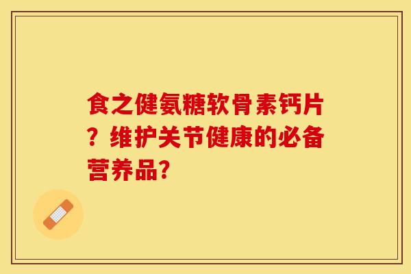食之健氨糖软骨素钙片?维护关节健康的必备营养品?-第1张图片-关节保镖 食之健氨糖软骨素钙片?维护关节健康的必备营养品?-第1张图片-关节保镖