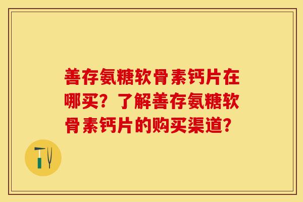 善存氨糖软骨素钙片在哪买？了解善存氨糖软骨素钙片的购买渠道？
