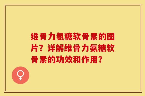 维骨力氨糖软骨素的图片？详解维骨力氨糖软骨素的功效和作用？