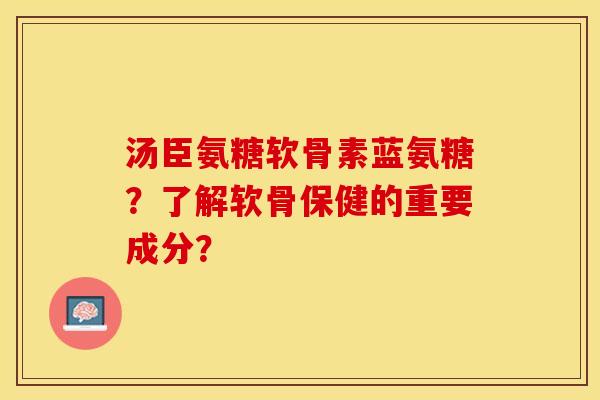 汤臣氨糖软骨素蓝氨糖?了解软骨保健的重要成分?-第1张图片-关节保镖 汤臣氨糖软骨素蓝氨糖?了解软骨保健的重要成分?-第1张图片-关节保镖