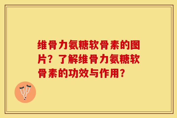 维骨力氨糖软骨素的图片？了解维骨力氨糖软骨素的功效与作用？