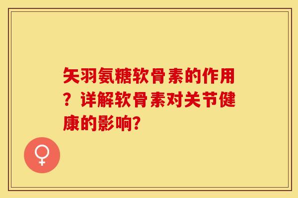 矢羽氨糖软骨素的作用？详解软骨素对关节健康的影响？