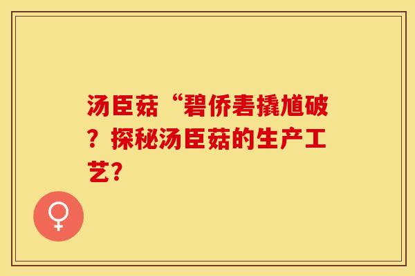 汤臣菇“碧侨砉撬馗破？探秘汤臣菇的生产工艺？