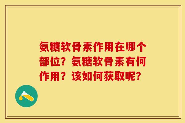 氨糖软骨素作用在哪个部位？氨糖软骨素有何作用？该如何获取呢？