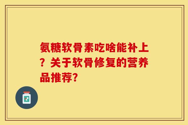 氨糖软骨素吃啥能补上?关于软骨修复的营养品推荐?-第1张图片-关节保镖 氨糖软骨素吃啥能补上?关于软骨修复的营养品推荐?-第1张图片-关节保镖
