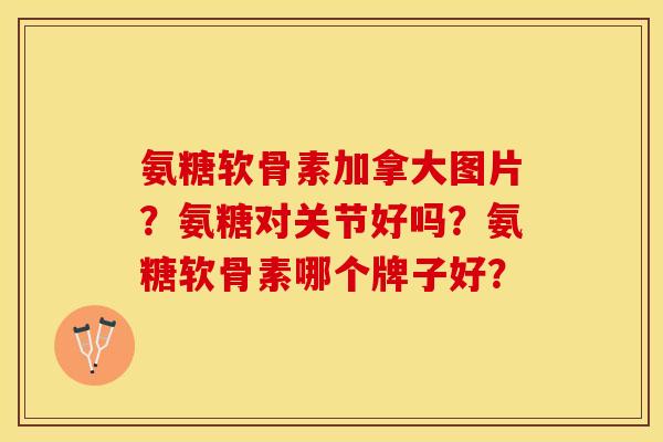 氨糖软骨素加拿大图片？氨糖对关节好吗？氨糖软骨素哪个牌子好？