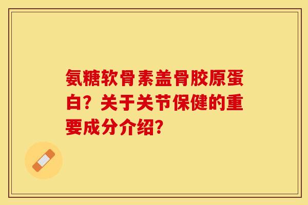 氨糖软骨素盖骨胶原蛋白？关于关节保健的重要成分介绍？