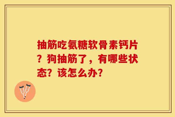 抽筋吃氨糖软骨素钙片？狗抽筋了，有哪些状态？该怎么办？