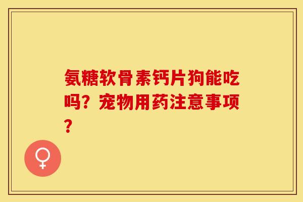 氨糖软骨素钙片狗能吃吗？宠物用药注意事项？