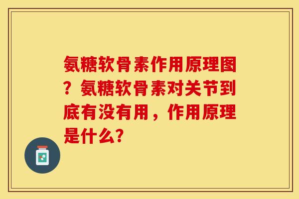 氨糖软骨素作用原理图？氨糖软骨素对关节到底有没有用，作用原理是什么？
