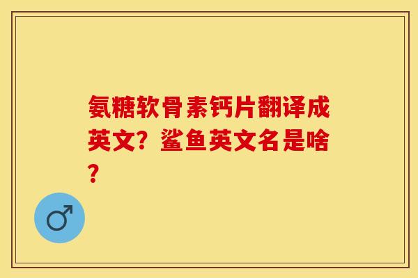 氨糖软骨素钙片翻译成英文?鲨鱼英文名是啥?-第1张图片-关节保镖 氨糖软骨素钙片翻译成英文?鲨鱼英文名是啥?-第1张图片-关节保镖