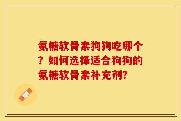 氨糖软骨素狗狗吃哪个？如何选择适合狗狗的氨糖软骨素补充剂？-第1张图片-关节保镖