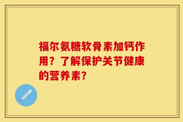 福尔氨糖软骨素加钙作用？了解保护关节健康的营养素？