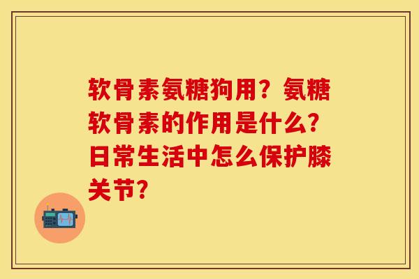 软骨素氨糖狗用？氨糖软骨素的作用是什么？日常生活中怎么保护膝关节？