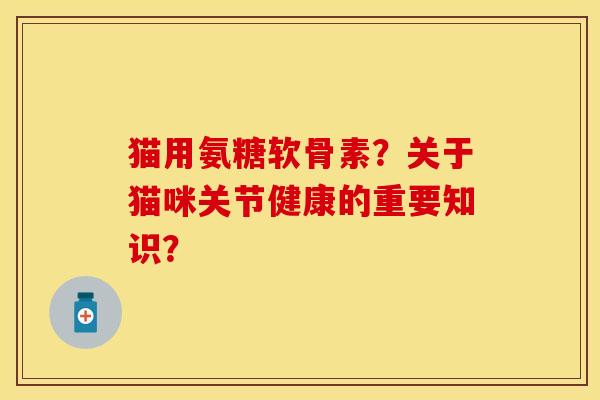 猫用氨糖软骨素？关于猫咪关节健康的重要知识？