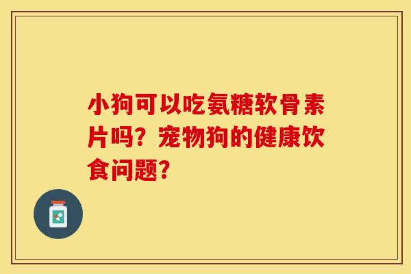 小狗可以吃氨糖软骨素片吗？宠物狗的健康饮食问题？