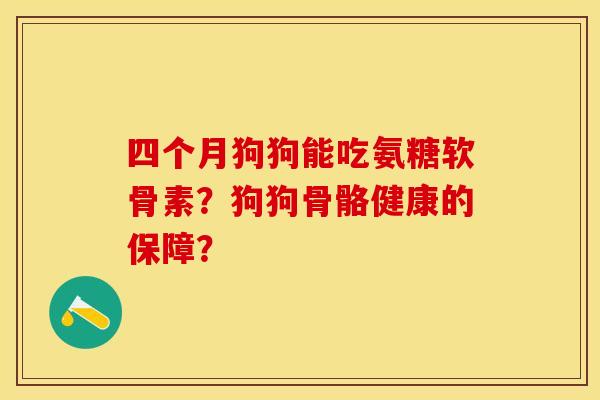 四个月狗狗能吃氨糖软骨素？狗狗骨骼健康的保障？