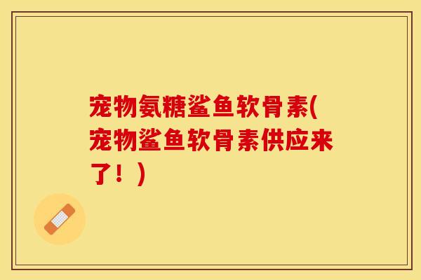 宠物氨糖鲨鱼软骨素(宠物鲨鱼软骨素供应来了！)
