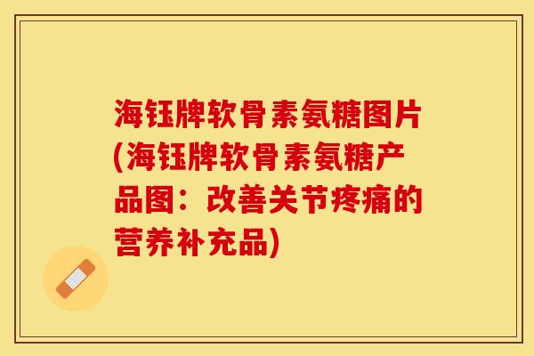 海钰牌软骨素氨糖图片(海钰牌软骨素氨糖产品图：改善关节疼痛的营养补充品)