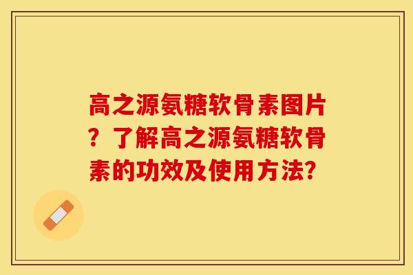 高之源氨糖软骨素图片？了解高之源氨糖软骨素的功效及使用方法？-第1张图片-关节保镖