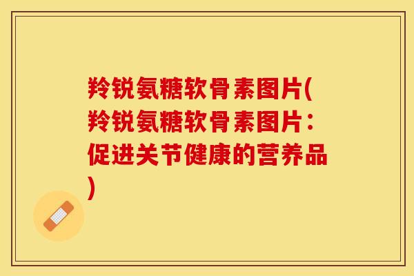 羚锐氨糖软骨素图片(羚锐氨糖软骨素图片：促进关节健康的营养品)