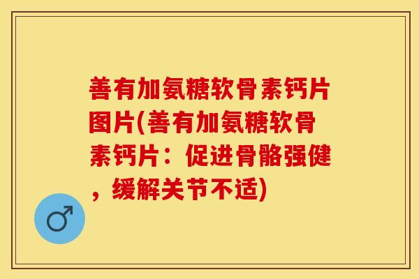 善有加氨糖软骨素钙片图片(善有加氨糖软骨素钙片：促进骨骼强健，缓解关节不适)