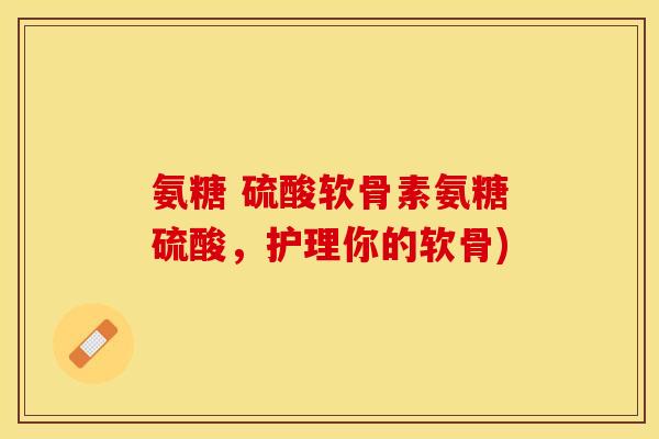 氨糖 硫酸软骨素氨糖硫酸，护理你的软骨)