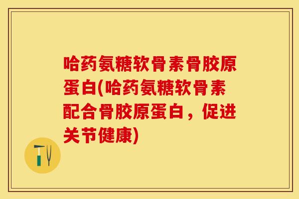 哈药氨糖软骨素骨胶原蛋白(哈药氨糖软骨素配合骨胶原蛋白，促进关节健康)