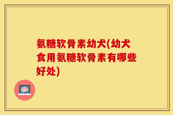氨糖软骨素幼犬(幼犬食用氨糖软骨素有哪些好处)