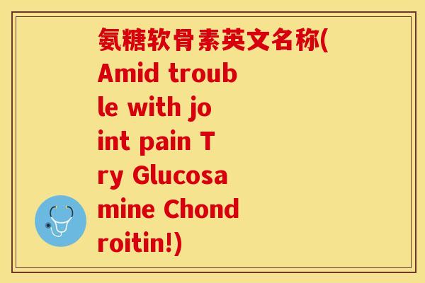 氨糖软骨素英文名称(Amid trouble with joint pain Try Glucosamine Chondroitin!)