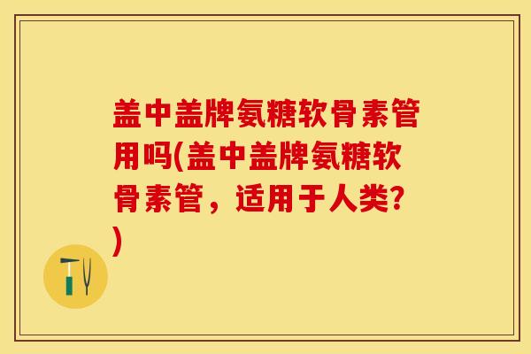 盖中盖牌氨糖软骨素管用吗(盖中盖牌氨糖软骨素管，适用于人类？)