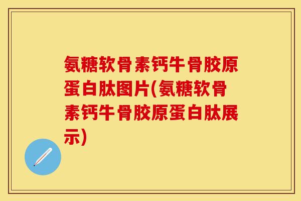 氨糖软骨素钙牛骨胶原蛋白肽图片(氨糖软骨素钙牛骨胶原蛋白肽展示)