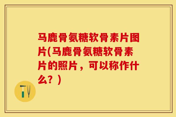马鹿骨氨糖软骨素片图片(马鹿骨氨糖软骨素片的照片，可以称作什么？)
