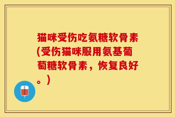 猫咪受伤吃氨糖软骨素(受伤猫咪服用氨基葡萄糖软骨素，恢复良好。)