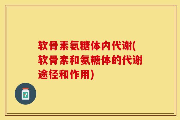 软骨素氨糖体内代谢(软骨素和氨糖体的代谢途径和作用)