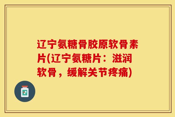 辽宁氨糖骨胶原软骨素片(辽宁氨糖片：滋润软骨，缓解关节疼痛)