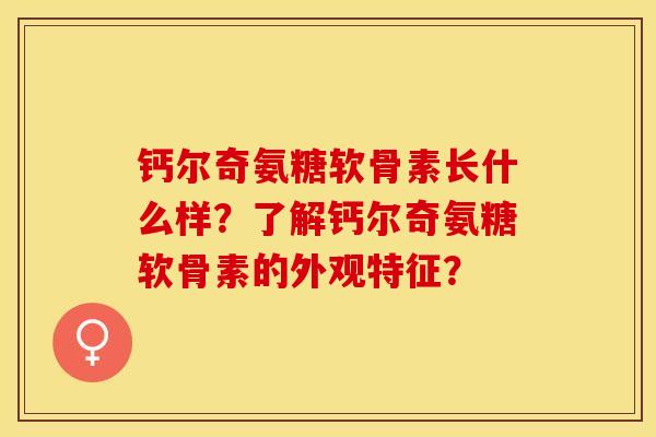 钙尔奇氨糖软骨素长什么样？了解钙尔奇氨糖软骨素的外观特征？