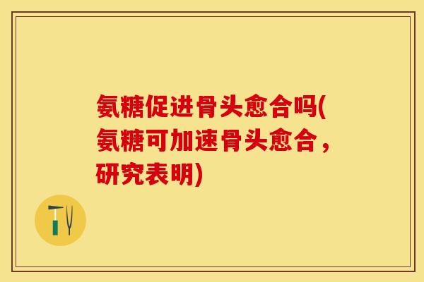 氨糖促进骨头愈合吗(氨糖可加速骨头愈合，研究表明)